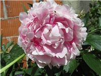 b6f72254-Picture 752.jpg